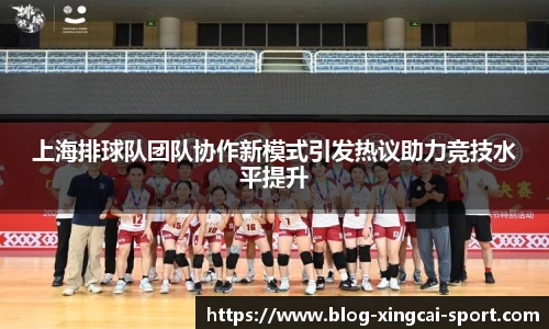 上海排球队团队协作新模式引发热议助力竞技水平提升