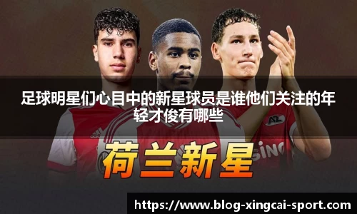 杏运体育官方网站